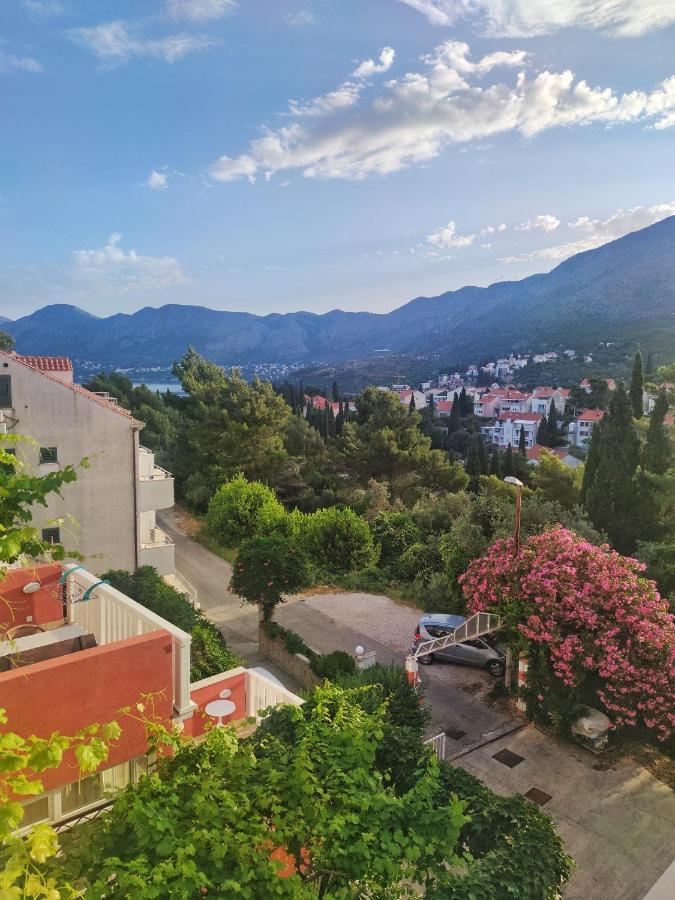 Villa Kipre Cavtat Exterior foto