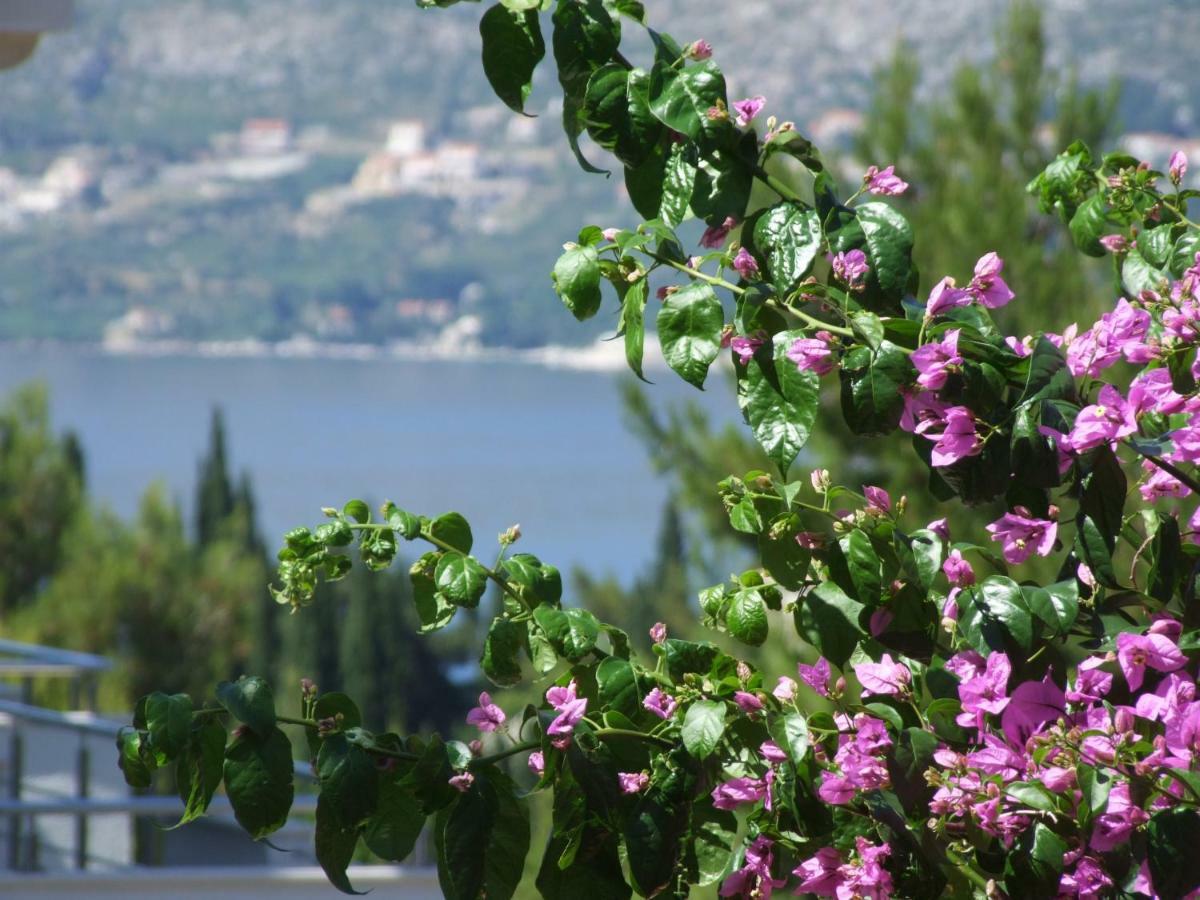 Villa Kipre Cavtat Exterior foto